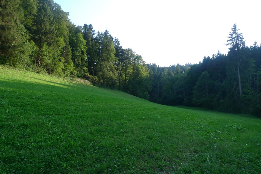 Wiesengrundstück, südlich abseits der Gebäude
