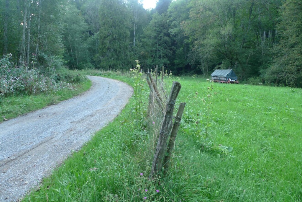 Eindrücke vom Rotachtal