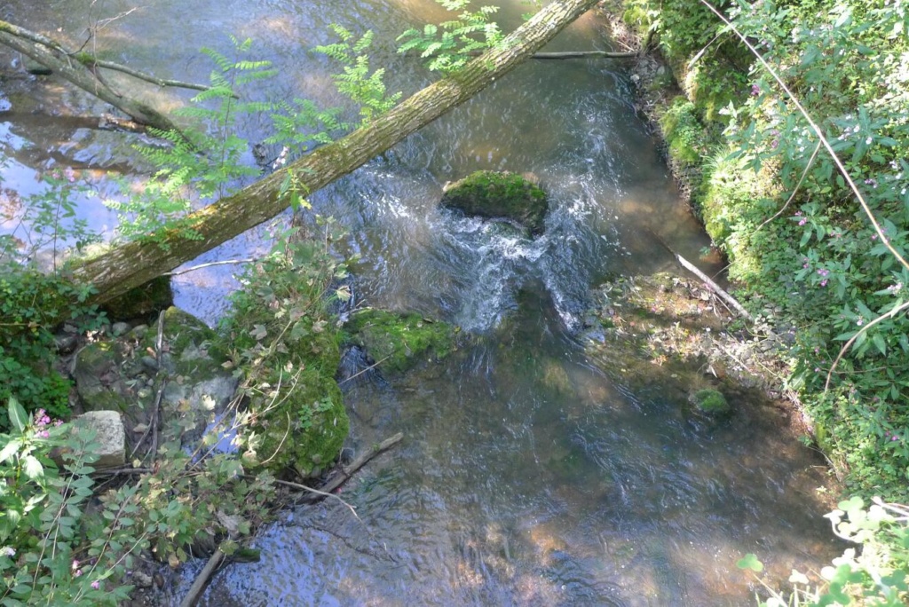 Rotach am Ferienheim