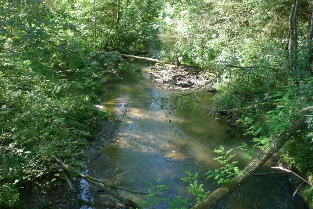 Rotach am Ferienheim